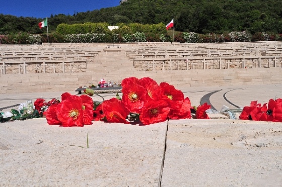 czerwone-maki-na-monte-cassino-d