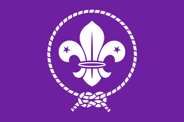 600px-World Organization of the Scout Movement flag.svg